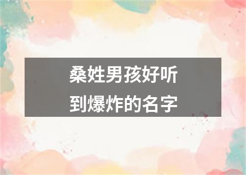 桑姓男孩好听到爆炸的名字