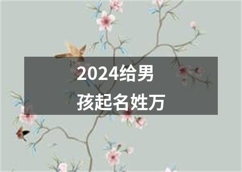 2024给男孩起名姓万