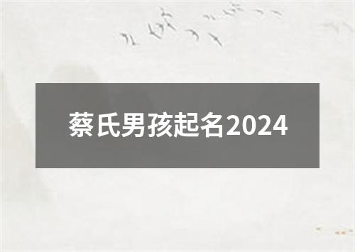 蔡氏男孩起名2024