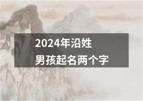 2024年沿姓男孩起名两个字