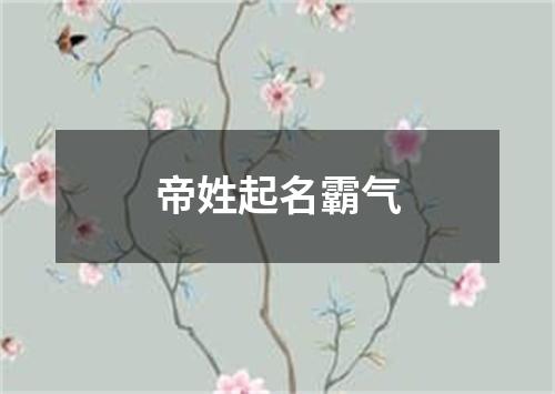 帝姓起名霸气