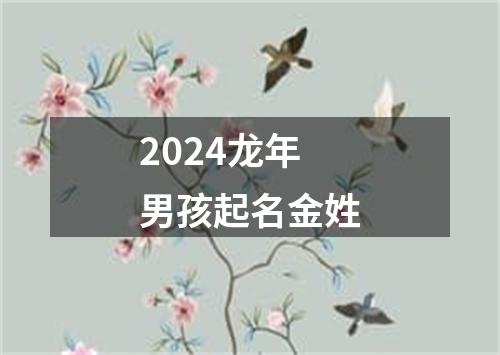 2024龙年男孩起名金姓