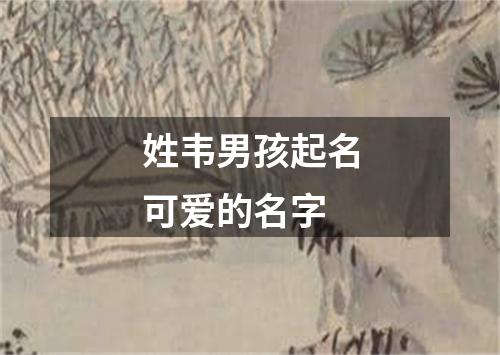 姓韦男孩起名可爱的名字