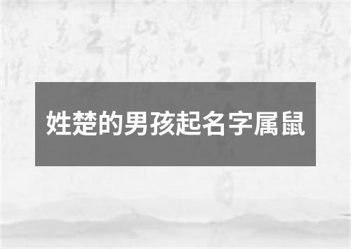 姓楚的男孩起名字属鼠