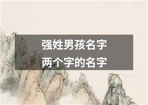 强姓男孩名字两个字的名字