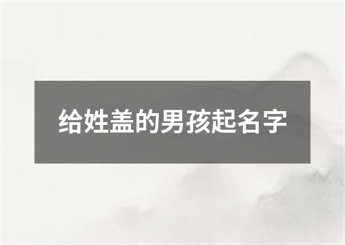 给姓盖的男孩起名字