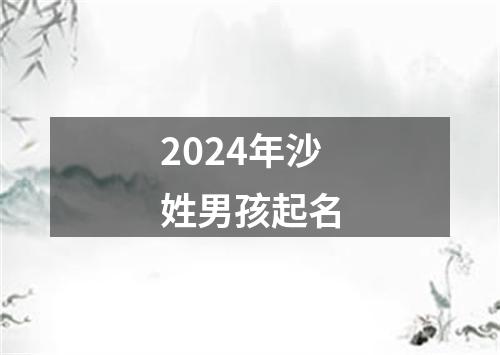 2024年沙姓男孩起名