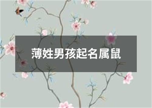 薄姓男孩起名属鼠