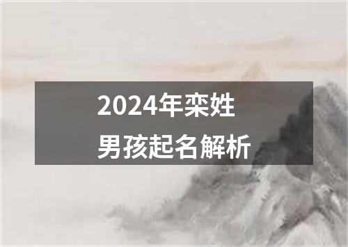 2024年栾姓男孩起名解析