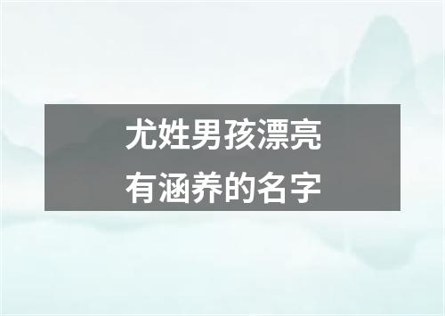 尤姓男孩漂亮有涵养的名字