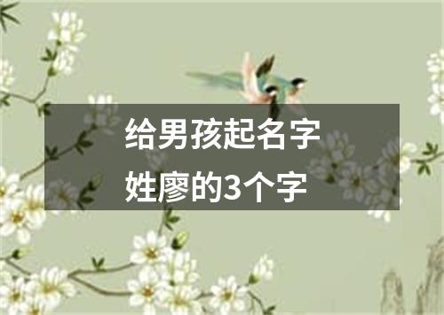 给男孩起名字姓廖的3个字