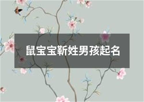 鼠宝宝靳姓男孩起名