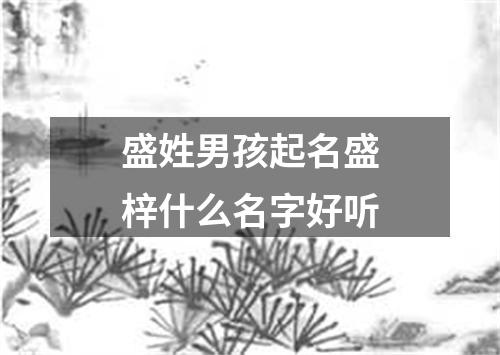 盛姓男孩起名盛梓什么名字好听