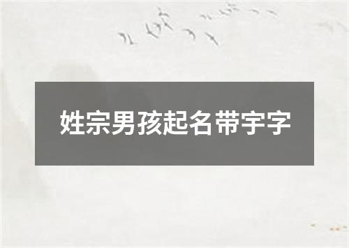 姓宗男孩起名带宇字