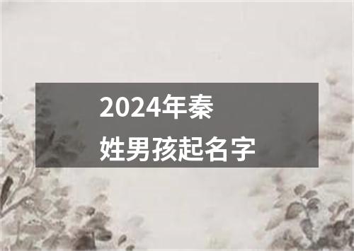 2024年秦姓男孩起名字