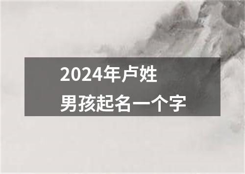 2024年卢姓男孩起名一个字