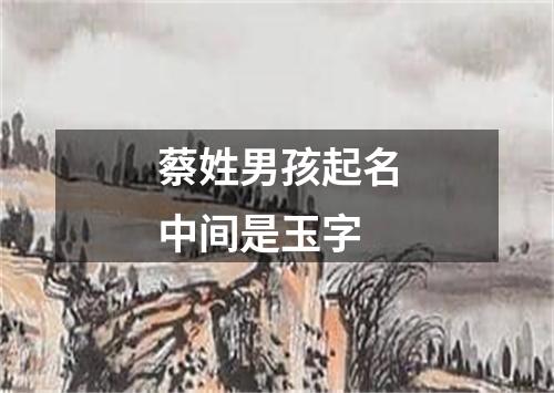 蔡姓男孩起名中间是玉字