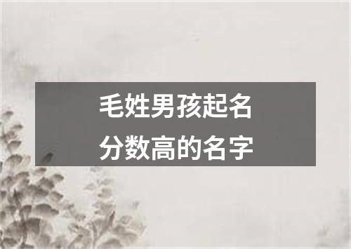 毛姓男孩起名分数高的名字