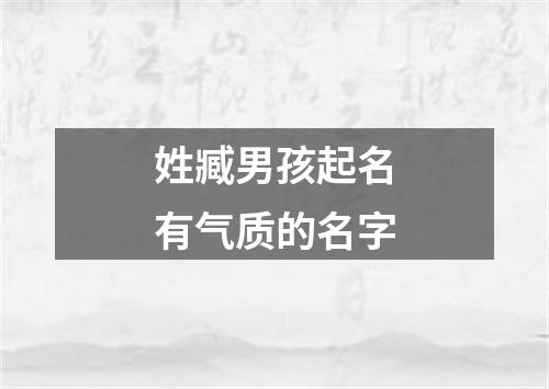 姓臧男孩起名有气质的名字