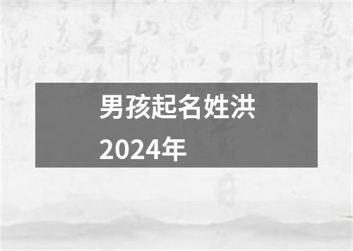 男孩起名姓洪2024年