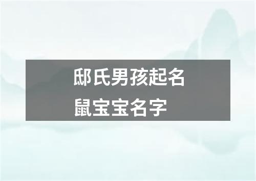 邸氏男孩起名鼠宝宝名字