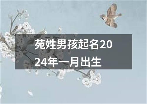 苑姓男孩起名2024年一月出生