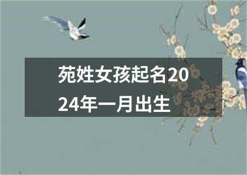 苑姓女孩起名2024年一月出生