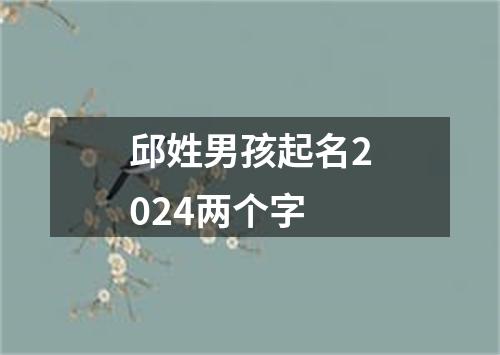 邱姓男孩起名2024两个字