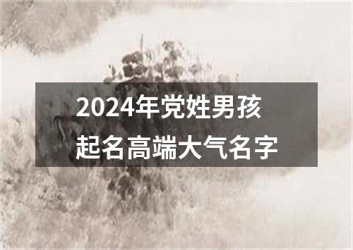 2024年党姓男孩起名高端大气名字