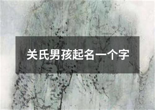 关氏男孩起名一个字