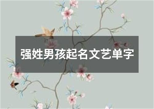 强姓男孩起名文艺单字