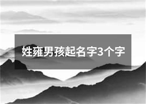 姓雍男孩起名字3个字