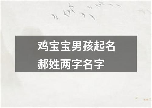 鸡宝宝男孩起名郝姓两字名字