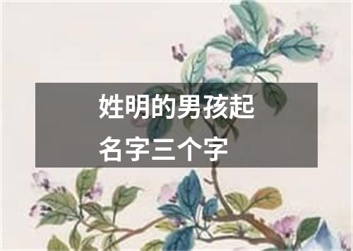 姓明的男孩起名字三个字