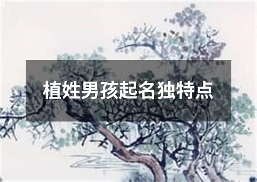 植姓男孩起名独特点