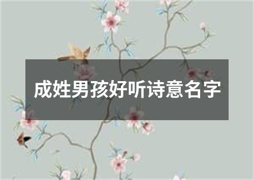 成姓男孩好听诗意名字