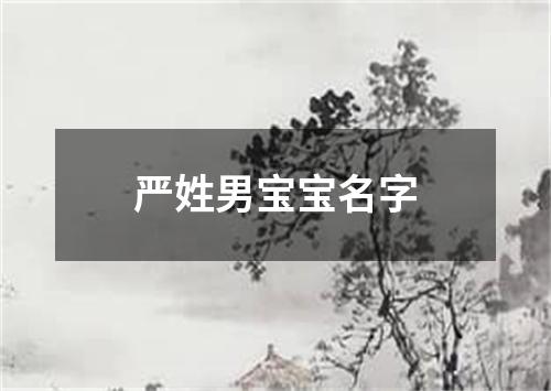 严姓男宝宝名字