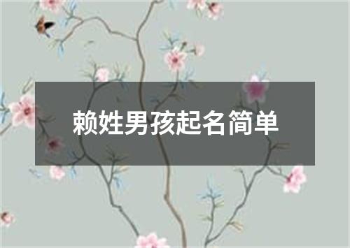 赖姓男孩起名简单