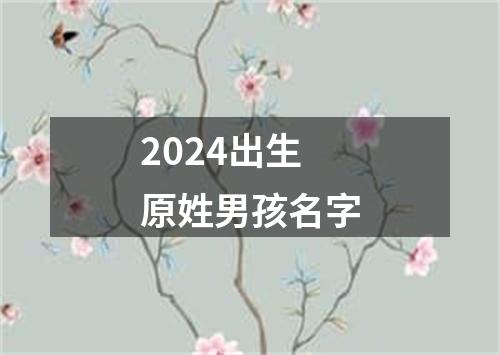 2024出生原姓男孩名字