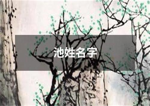 池姓名字