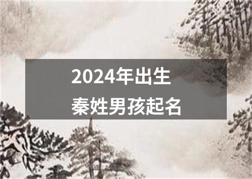 2024年出生秦姓男孩起名