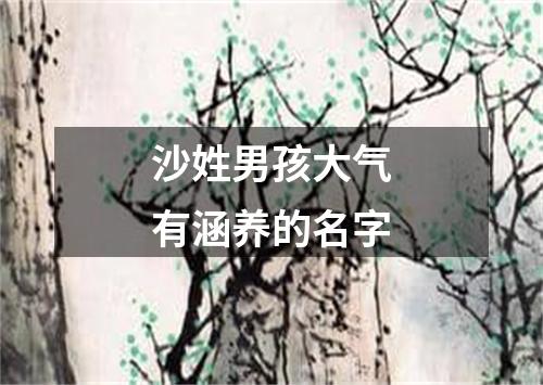 沙姓男孩大气有涵养的名字