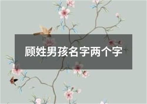 顾姓男孩名字两个字