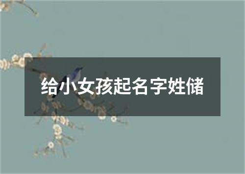 给小女孩起名字姓储