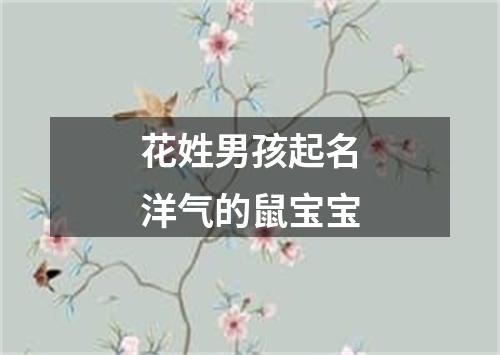 花姓男孩起名洋气的鼠宝宝