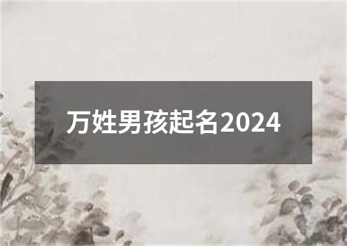 万姓男孩起名2024