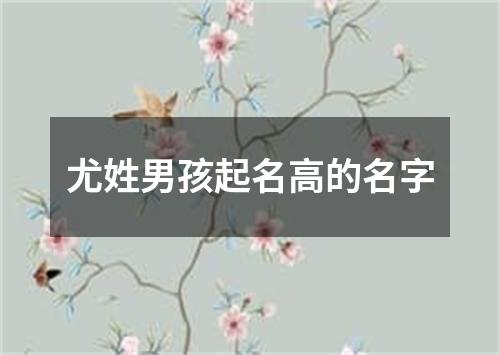 尤姓男孩起名高的名字