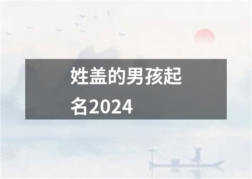 姓盖的男孩起名2024