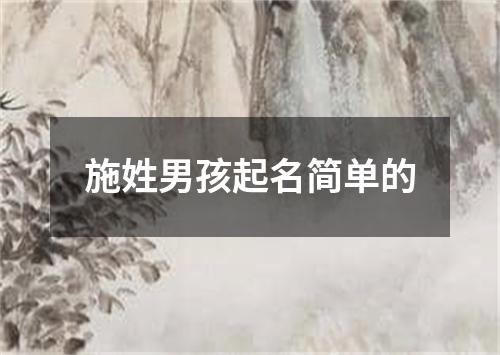 施姓男孩起名简单的