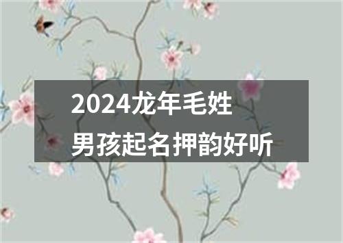 2024龙年毛姓男孩起名押韵好听